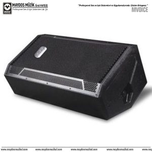 EfanPro STX 812M - 12'' 250W Pasif Monitör Kabin